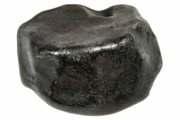 Fusion Crusted Sikhote-Alin Iron Meteorite ( g) - Russia #333113